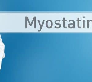 miostatina