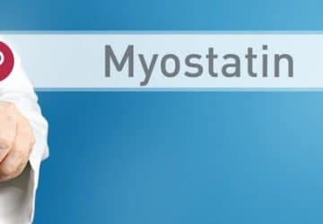 miostatina