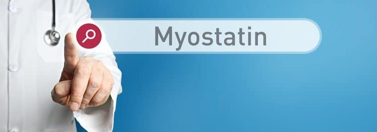 miostatina