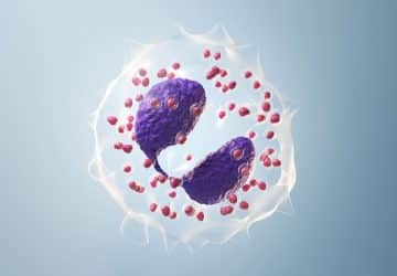 eosinofili al microscopio