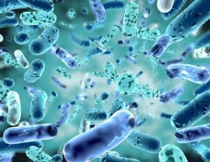 probiotici riprodotti con il 3D