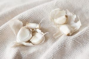 aglio su tovagliolo bianco