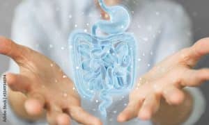 intestino