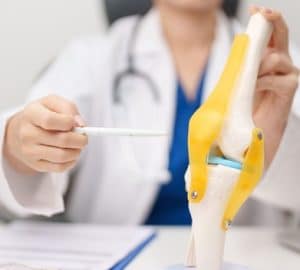lesione dei legamenti collaterali, dottoressa indica anatomia in plastica del ginochio umano