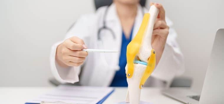 lesione dei legamenti collaterali, dottoressa indica anatomia in plastica del ginochio umano